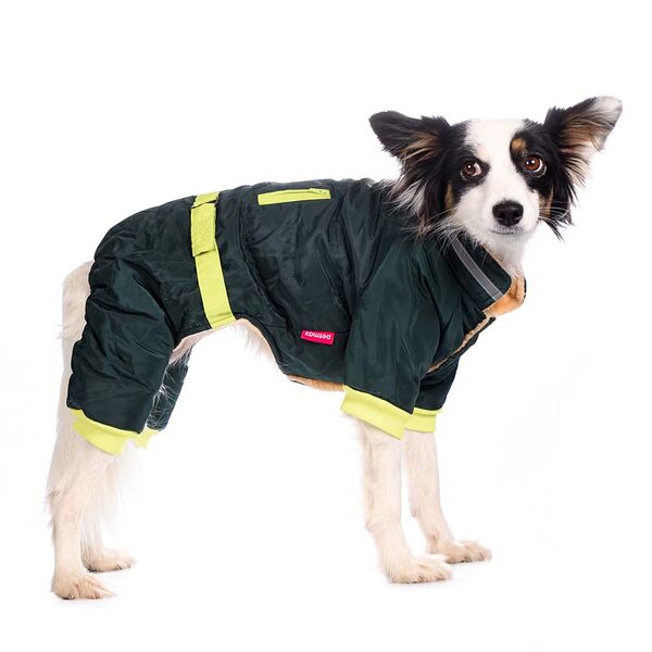 Комбинезон с поясом для собак L зеленый (унисекс)