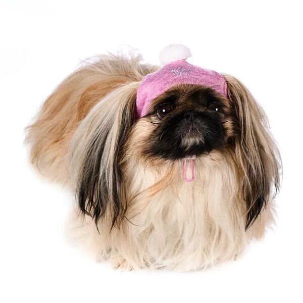 Шапочка зимняя универсальная для собак S розовый (унисекс)