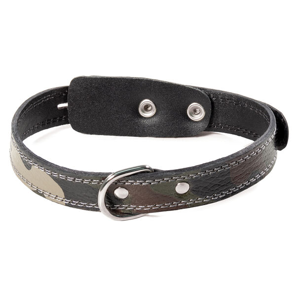 Ошейник кожаный Gamma Хаки 2.5 x 50 см