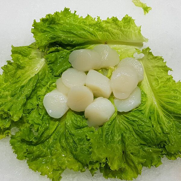 Гребешок сахалинский охлажденный