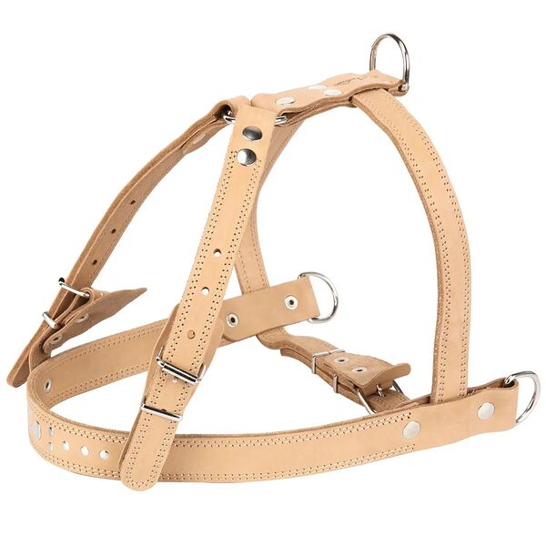 Шлейка для собак ш2у Аркон №2 универсальная