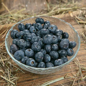 Голубика средняя