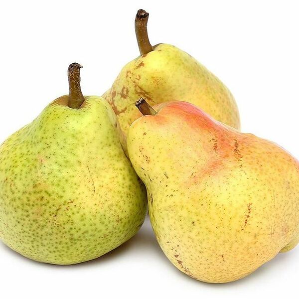 Груши Вильямс Чили вес