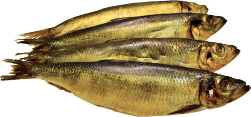 

Сельдь холодного копчения крупная 300г+, весовая