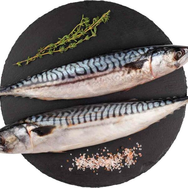 Скумбрия Globus неразделанная охлажденная, вес