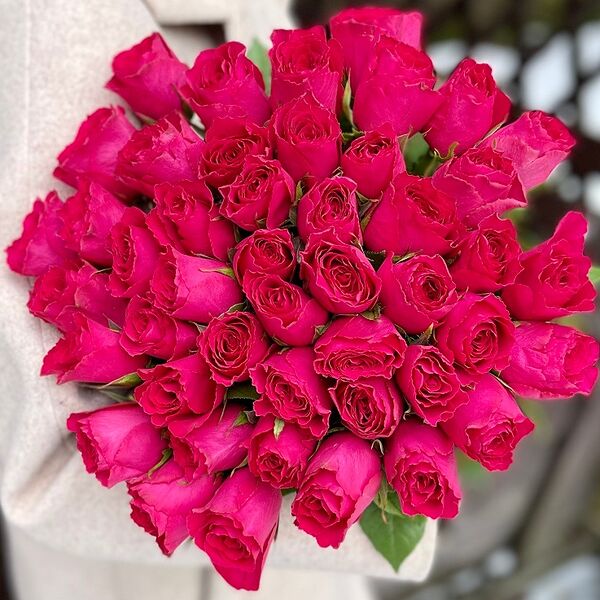 51 кенийская роза Малиновая (50 см)