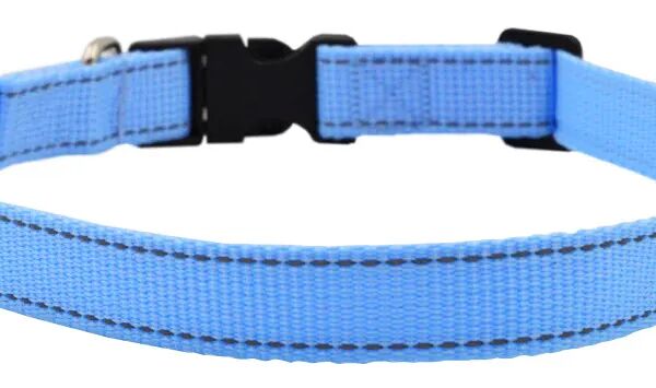 Ошейник Zooexpress FRESH LINE светоотраж.нить для собак 20 мм 20-30 см, цвет в ассортименте