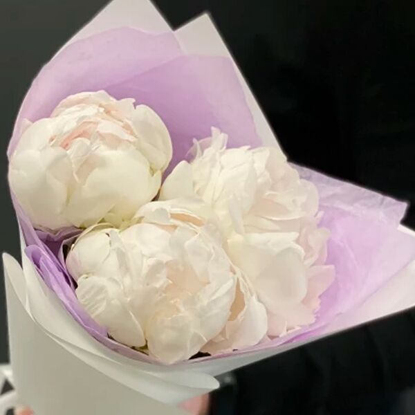 Букет из 3 белых пионов