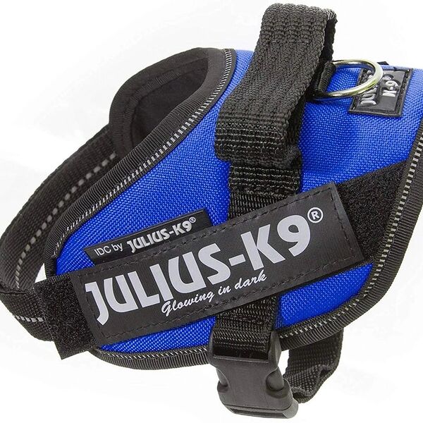 Шлейка для собак JULIUS-K9 IDC-Powerharness Mini-Mini 4-7 кг. 40-53 см., Синий