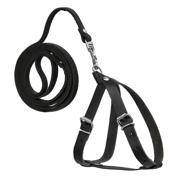 Dono Della комплект кожаный шлейка+поводок для щенков и кошек Обсидиан