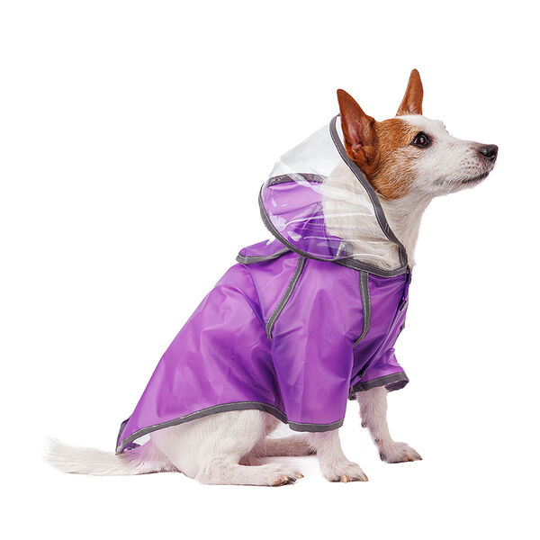 Дождевик для собак с капюшоном L фиолетовый (унисекс)