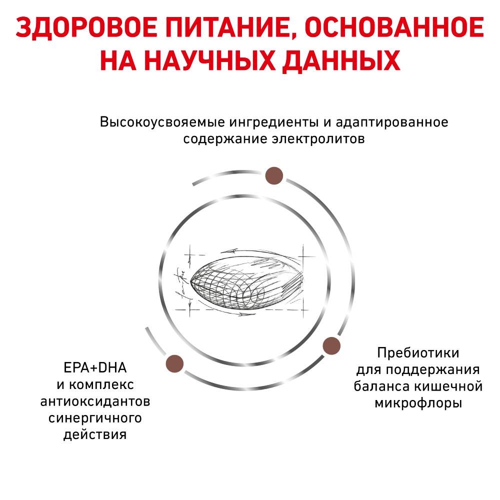 

Лечебный корм для собак Royal Canin Gastrointestinal Low Fat диета с малым содержанием жира 1500 г