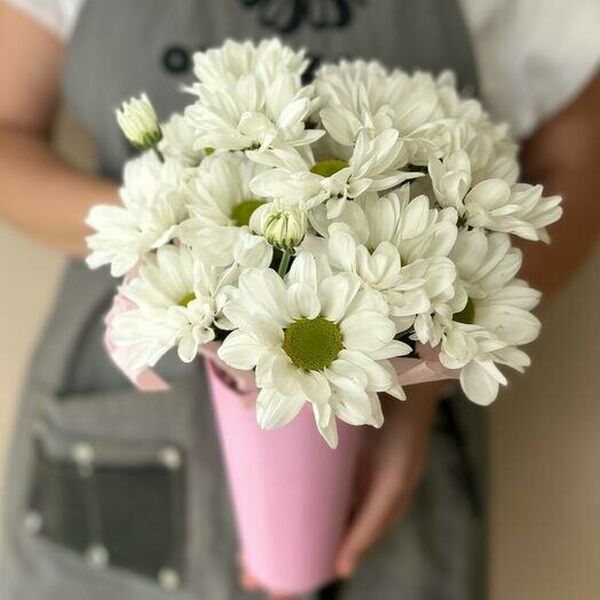 Хризантемы в коробке конусе