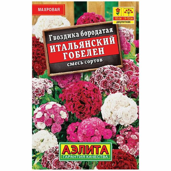 Семена Аэлита Гвоздика Итальянский гобелен бородатая смесь сортов