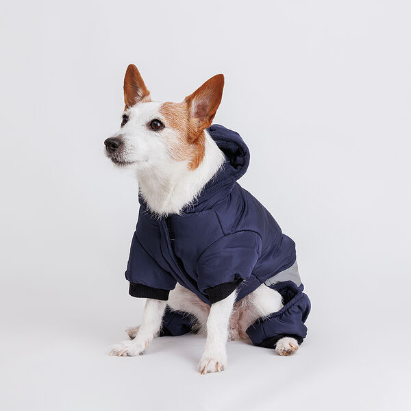 Комбинезон для собак, L, синий