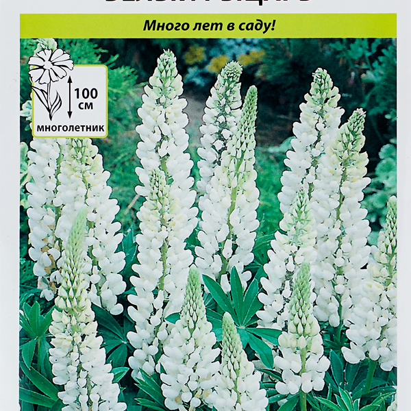 Семена РУССКИЙ ОГОРОД Люпин Белый рыцарь, 0,7г