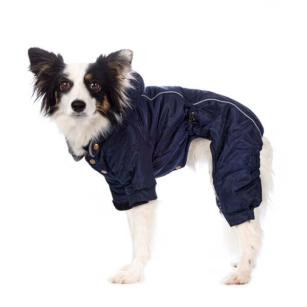 Комбинезон с капюшоном для собак S синий (унисекс)