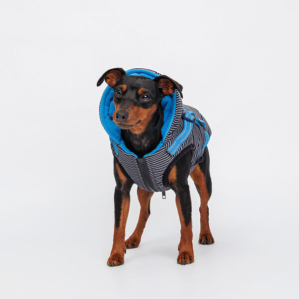 Попона теплая со шлейкой для собак, S, черная