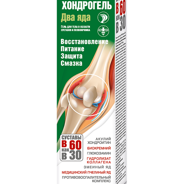 Гель для тела В 60 как в 30 Хондрогель Два яда змеиный и пчелиный яд 125 мл