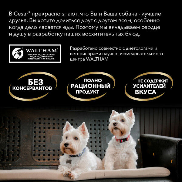 Корм влажный Cesar Pouch для взрослых собак всех пород с телятиной в желе 