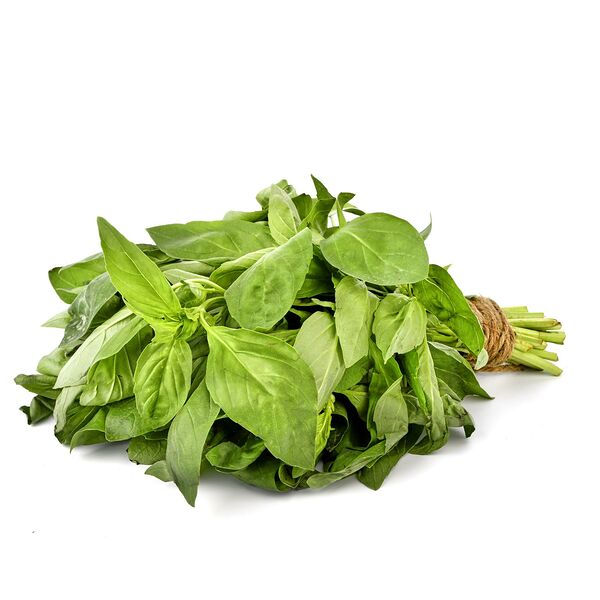 Базилик зелёный