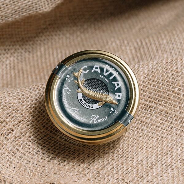 Черная Икра Альбинос