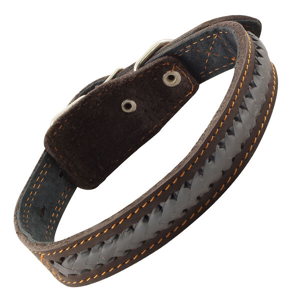 Гамма ошейник кожаный двойной 