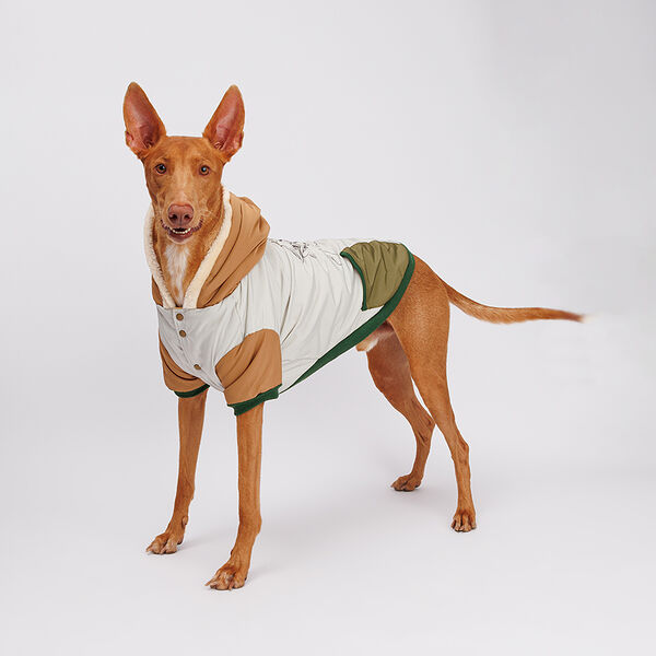 Куртка с капюшоном для собак Скелет, 4XL, серо-зеленая