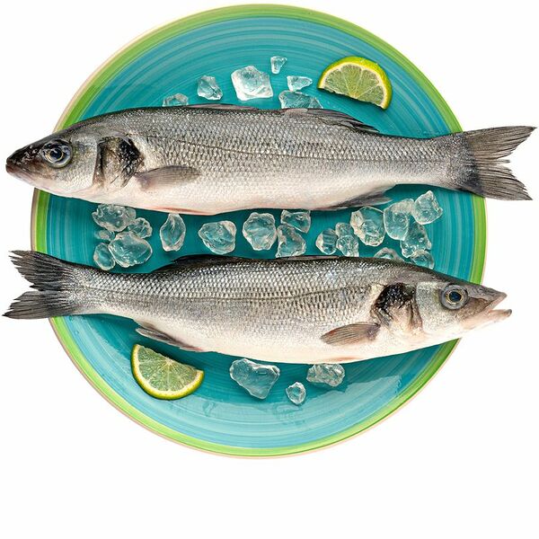 Сибас охлаждённый