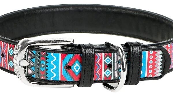 Collar ошейник Waudog Design с рисунком 