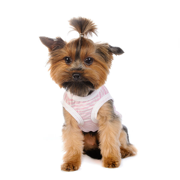 Футболка для собак XL розовый (унисекс)