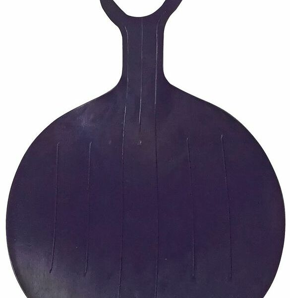 Санки-ледянки Винтер -2014