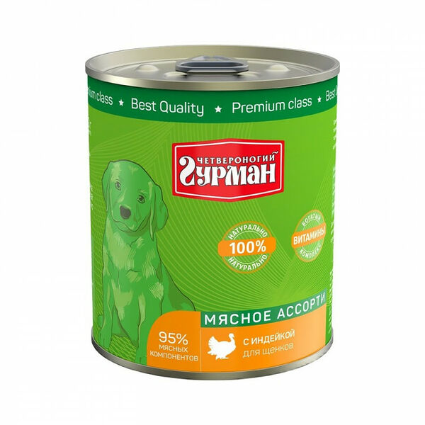 Четвероногий гурман 