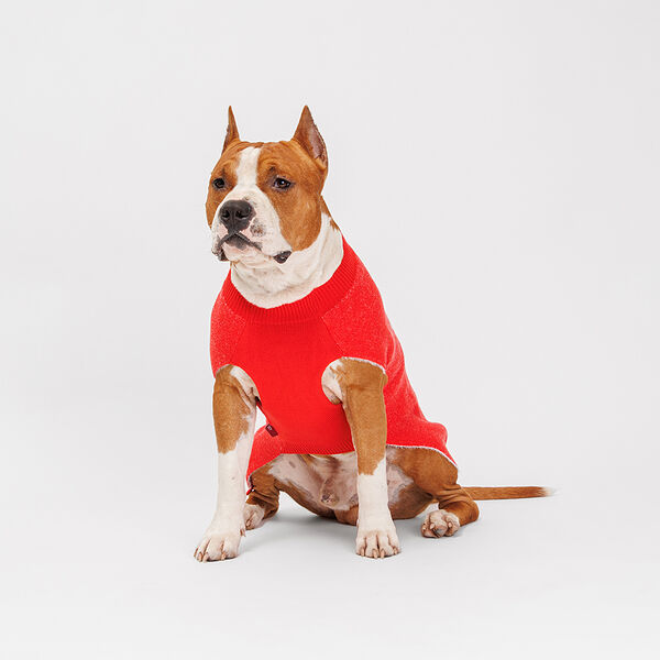 Свитер для собак Merry Christmas, 4XL, 51 см, красный