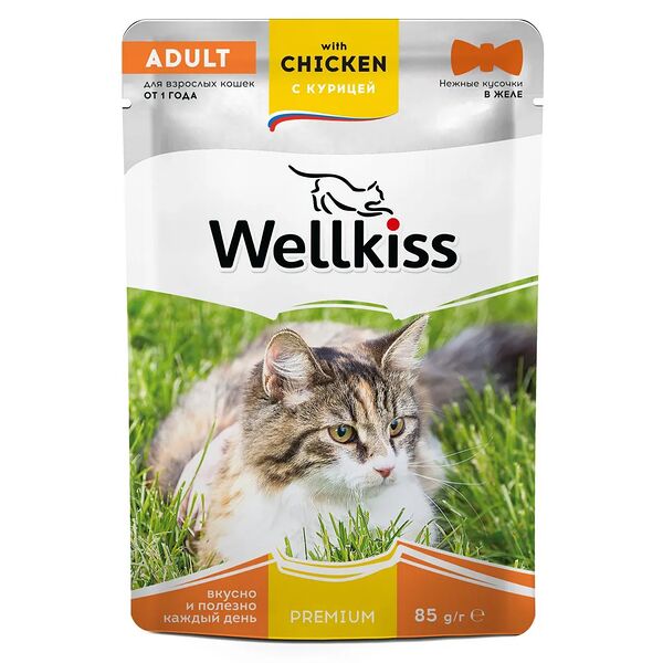 Adult влажный корм Wellkiss для взрослых кошек с курицей в желе