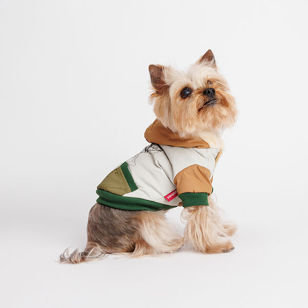 Куртка с капюшоном для собак Скелет, XS, серо-зеленая