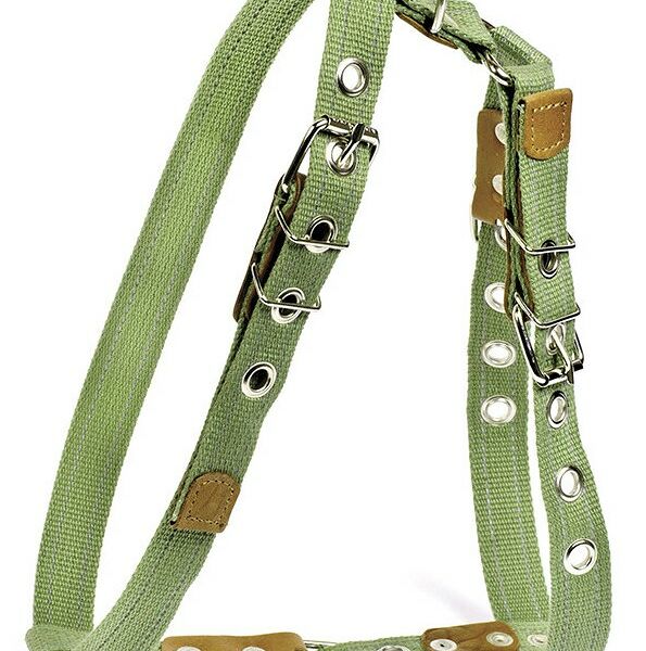 Collar шлея х/б тесьма