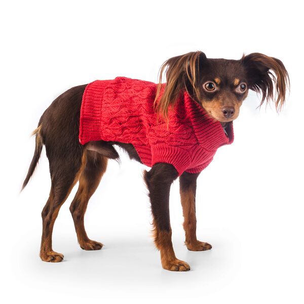 Свитер Petmax вязаный для собак 20см XS красный (унисекс)