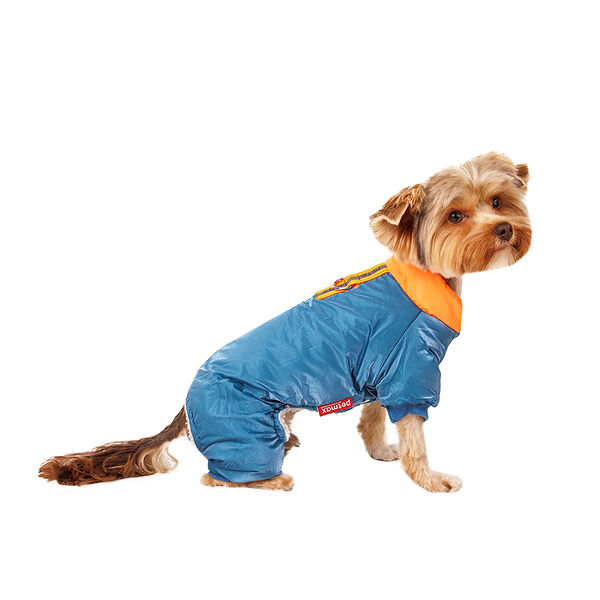 Комбинезон для собак S голубой (унисекс)