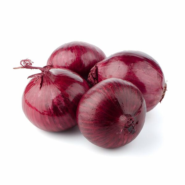 Лук плоский