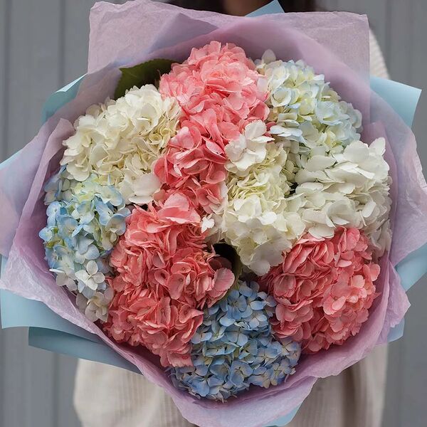 Букет из 9 гортензий нежный микс в голубой пленке