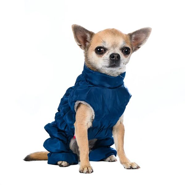 Комбинезон на молнии для собак 2XL синий (унисекс)