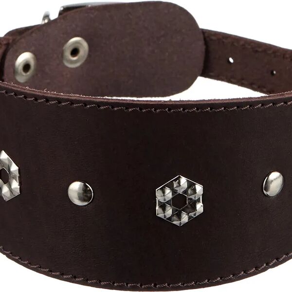 Ошейник ZOOexpress однослойный Камбала длина до 40 см коричневый