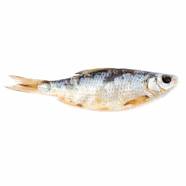 Тарань вяленая