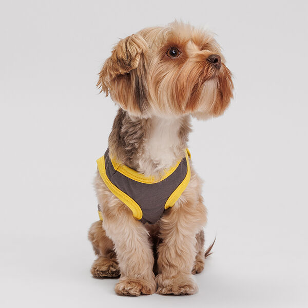 Борцовка для собак Petmax, XS, серая