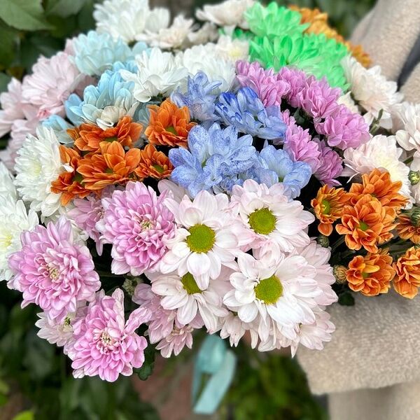 Микс хризантем