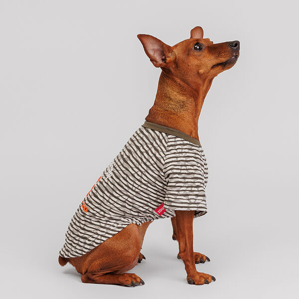 Футболка для собак, S, серая в полоску