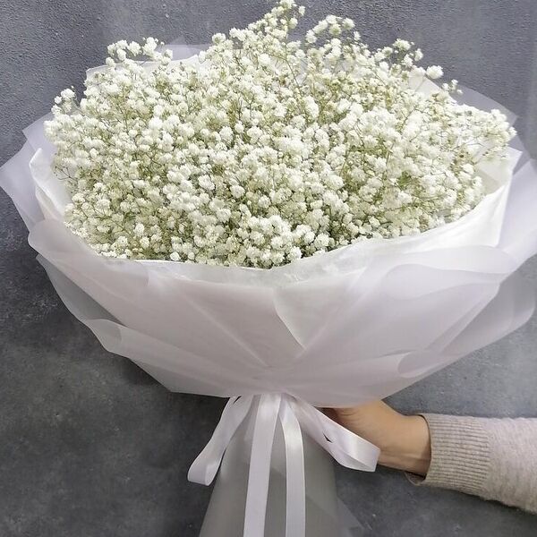 Букет гипсофил белый