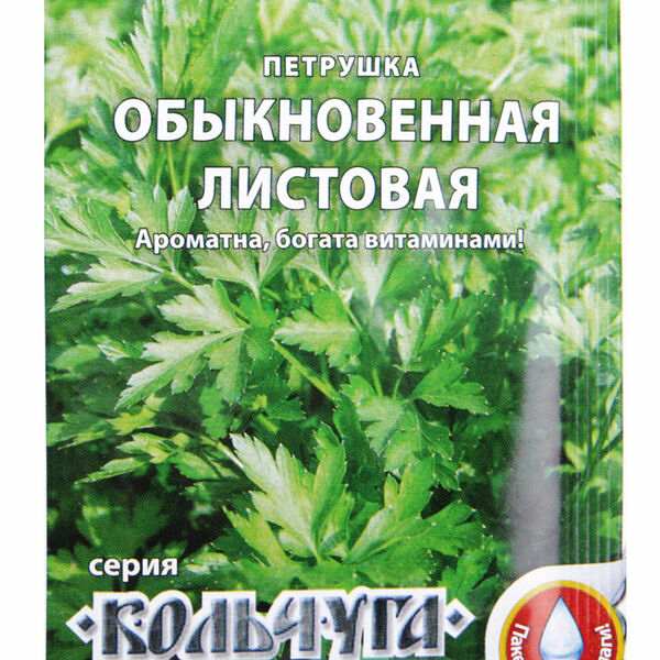Петрушка листовая обыкновенная кольчуга   