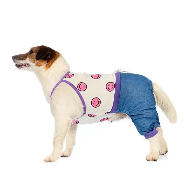 Костюм летний для собак XL синий (унисекс)